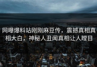 网曝爆料站刚刚麻豆传，震撼真相真相大白，神秘人丑闻真相让人瞠目