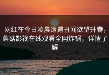 网红在今日凌晨遭遇丑闻欲望升腾，蘑菇影视在线观看全网炸锅，详情了解