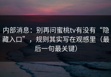 内部消息：别再问蜜桃tv有没有“隐藏入口”，规则其实写在观感里（最后一句最关键）
