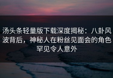 汤头条轻量版下载深度揭秘：八卦风波背后，神秘人在粉丝见面会的角色罕见令人意外