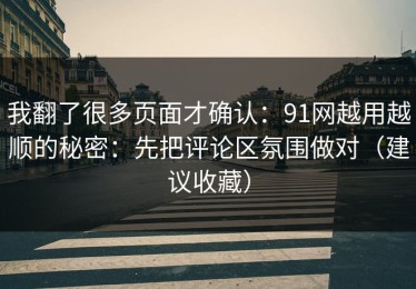 我翻了很多页面才确认：91网越用越顺的秘密：先把评论区氛围做对（建议收藏）