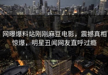 网曝爆料站刚刚麻豆电影，震撼真相惊爆，明星丑闻网友直呼过瘾
