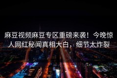 麻豆视频麻豆专区重磅来袭！今晚惊人网红秘闻真相大白，细节太炸裂