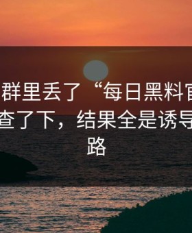 有人在群里丢了“每日黑料官网”，我顺手查了下，结果全是诱导下载套路