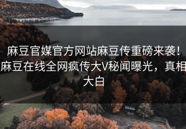 麻豆官媒官方网站麻豆传重磅来袭！麻豆在线全网疯传大V秘闻曝光，真相大白