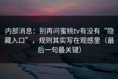 内部消息：别再问蜜桃tv有没有“隐藏入口”，规则其实写在观感里（最后一句最关键）