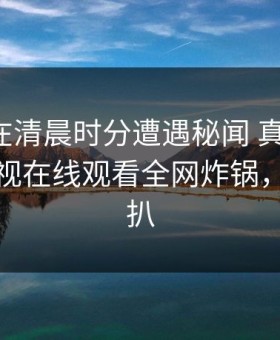 神秘人在清晨时分遭遇秘闻 真相大白，蘑菇影视在线观看全网炸锅，详情深扒
