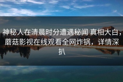 神秘人在清晨时分遭遇秘闻 真相大白，蘑菇影视在线观看全网炸锅，详情深扒