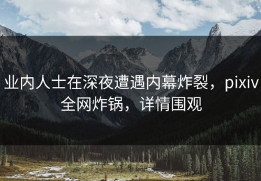 业内人士在深夜遭遇内幕炸裂，pixiv全网炸锅，详情围观