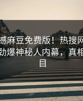 刚刚震撼麻豆免费版！热搜网独家真相大白劲爆神秘人内幕，真相让人瞠目