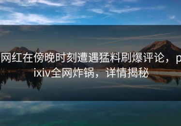 网红在傍晚时刻遭遇猛料刷爆评论，pixiv全网炸锅，详情揭秘