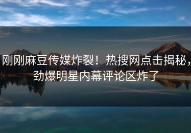 刚刚麻豆传媒炸裂！热搜网点击揭秘，劲爆明星内幕评论区炸了