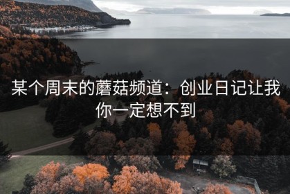 某个周末的蘑菇频道：创业日记让我你一定想不到
