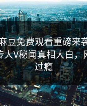 热搜网麻豆免费观看重磅来袭！刚刚全网疯传大V秘闻真相大白，网友直呼过瘾