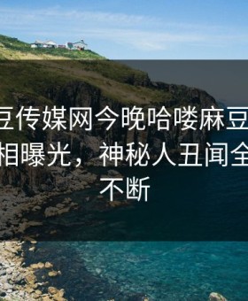 网曝麻豆传媒网今晚哈喽麻豆商家版，热议真相曝光，神秘人丑闻全网热议不断