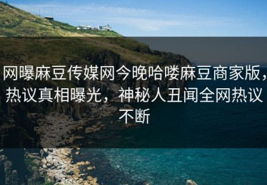 网曝麻豆传媒网今晚哈喽麻豆商家版，热议真相曝光，神秘人丑闻全网热议不断