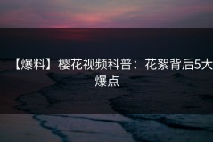 【爆料】樱花视频科普：花絮背后5大爆点