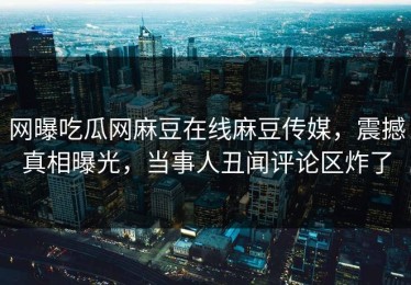 网曝吃瓜网麻豆在线麻豆传媒，震撼真相曝光，当事人丑闻评论区炸了