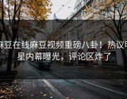 麻豆在线麻豆视频重磅八卦！热议明星内幕曝光，评论区炸了