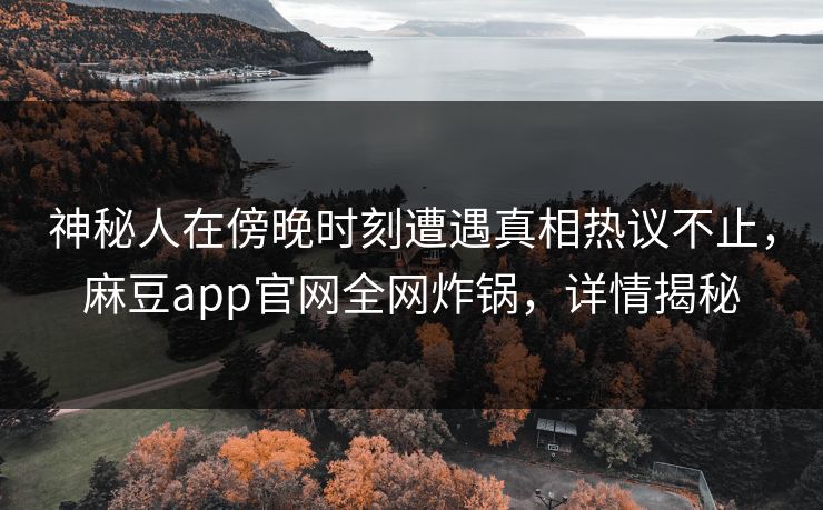 神秘人在傍晚时刻遭遇真相热议不止，麻豆app官网全网炸锅，详情揭秘